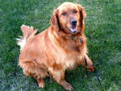 Fluffy and clean!